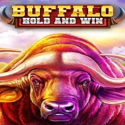 Buffalo